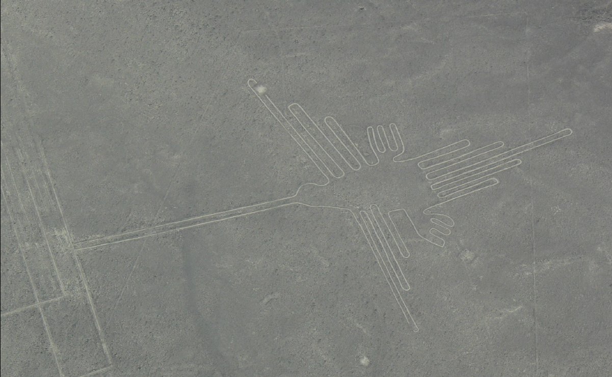 Nasca Lines25 - Hamming Bird